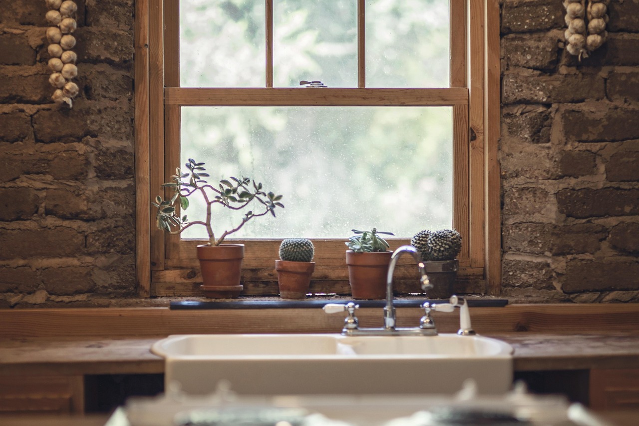 services-03 garlic, cactus, window, green, house, cooking, farm, farmhouse, country, lifestyle, table, nutrition, wooden, plant, design, happy, garden, dinner, agriculture, meal, kitchen, natural, vegetable, home, organic, fresh, healthy, vegetarian, diet, salad, cook, tomato, food, nature, window, window, house, kitchen, kitchen, kitchen, kitchen, kitchen, home